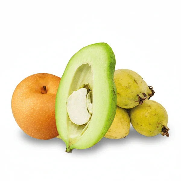 Fruits